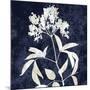 Nature White on Blue V-Danielle Carson-Mounted Art Print