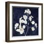 Nature White on Blue VI-Danielle Carson-Framed Art Print