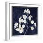 Nature White on Blue VI-Danielle Carson-Framed Art Print