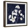 Nature White on Blue VI-Danielle Carson-Framed Art Print