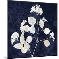 Nature White on Blue VI-Danielle Carson-Mounted Art Print