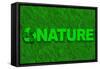 Nature Word over Green Grass-marphotography-Framed Stretched Canvas