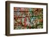 Nature-André Burian-Framed Photographic Print