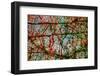 Nature-André Burian-Framed Photographic Print