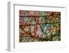 Nature-André Burian-Framed Photographic Print