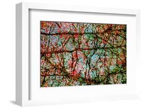 Nature-André Burian-Framed Photographic Print