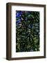 Nature-Andr? Burian-Framed Photographic Print