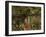 Nature-Eliseu Meifren i Roig-Framed Giclee Print