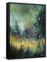 Nature-Pol Ledent-Framed Stretched Canvas