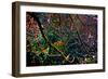 Nature-Andre Burian-Framed Giclee Print