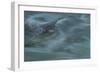 Nature-Anthony Paladino-Framed Giclee Print