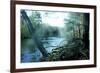 Nature-Mark Ashkenazi-Framed Giclee Print