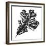 Natures Apparition - Oak-Kim Johnson-Framed Giclee Print