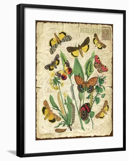 Natures Beauty-NO.1-Jean Plout-Framed Giclee Print