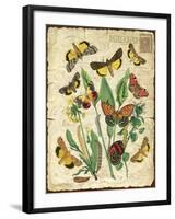 Natures Beauty-NO.1-Jean Plout-Framed Giclee Print
