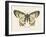 Natures Butterfly I-Wild Apple Portfolio-Framed Art Print