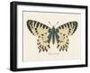 Natures Butterfly I-Wild Apple Portfolio-Framed Art Print