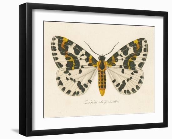 Natures Butterfly IV-Wild Apple Portfolio-Framed Art Print