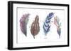 Natures Feathers-Victoria Brown-Framed Art Print