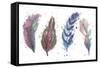 Natures Feathers-Victoria Brown-Framed Stretched Canvas