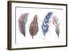 Natures Feathers-Victoria Brown-Framed Art Print