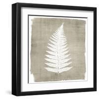 Natures Fern 1-Denise Brown-Framed Art Print