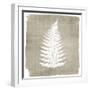 Natures Fern 1-Denise Brown-Framed Art Print