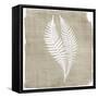 Natures Fern 2-Denise Brown-Framed Stretched Canvas