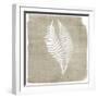 Natures Fern 2-Denise Brown-Framed Art Print