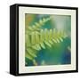 Natures Fern I-null-Framed Stretched Canvas