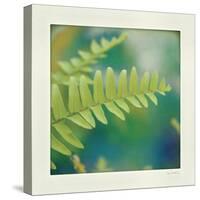 Natures Fern I-null-Stretched Canvas