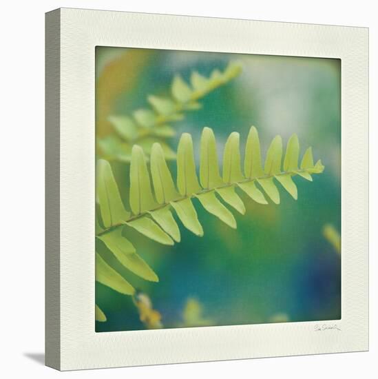 Natures Fern I-null-Stretched Canvas