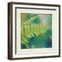 Natures Fern I-null-Framed Art Print