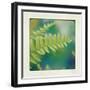 Natures Fern I-null-Framed Art Print