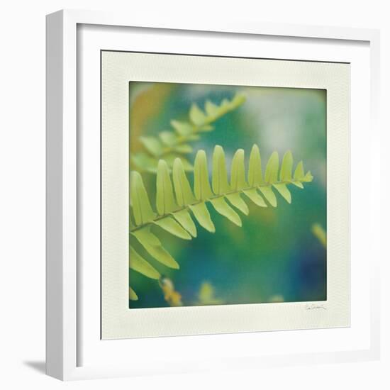 Natures Fern I-null-Framed Art Print