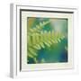 Natures Fern I-null-Framed Art Print