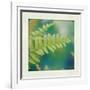 Natures Fern I-null-Framed Art Print