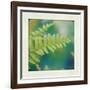 Natures Fern I-null-Framed Art Print