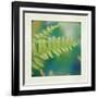 Natures Fern I-null-Framed Art Print