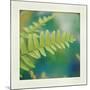 Natures Fern I-null-Mounted Art Print