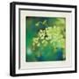 Natures Fern II-null-Framed Art Print