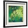 Natures Fern II-null-Framed Art Print