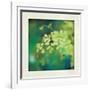 Natures Fern II-null-Framed Art Print