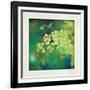 Natures Fern II-null-Framed Art Print