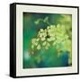 Natures Fern II-null-Framed Stretched Canvas