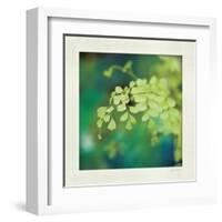 Natures Fern II-null-Framed Art Print