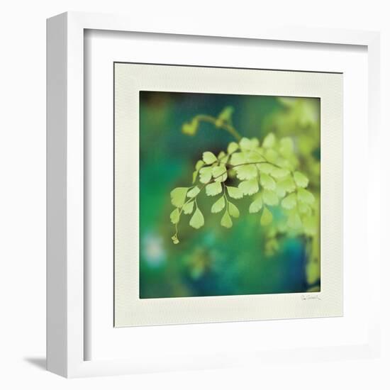 Natures Fern II-null-Framed Art Print