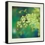 Natures Fern II-null-Framed Stretched Canvas