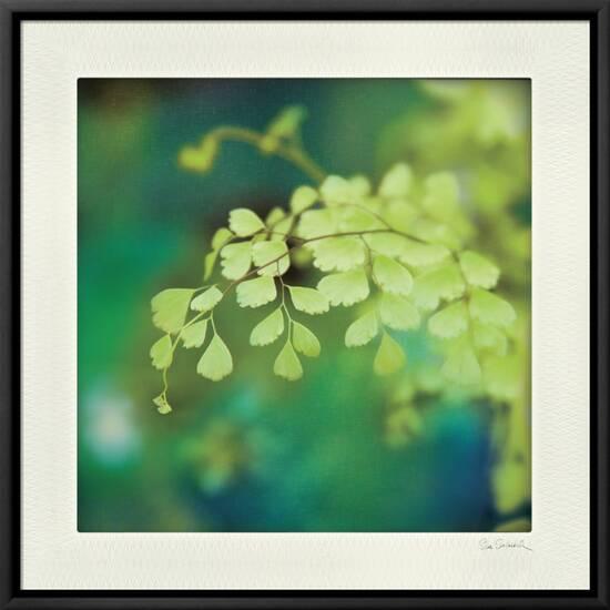 Stretched Canvas Print, , small