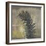 Natures Harmony II-Ken Hurd-Framed Giclee Print